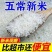 20斤正宗东北稻花花香10斤五常长粒香御贡现磨