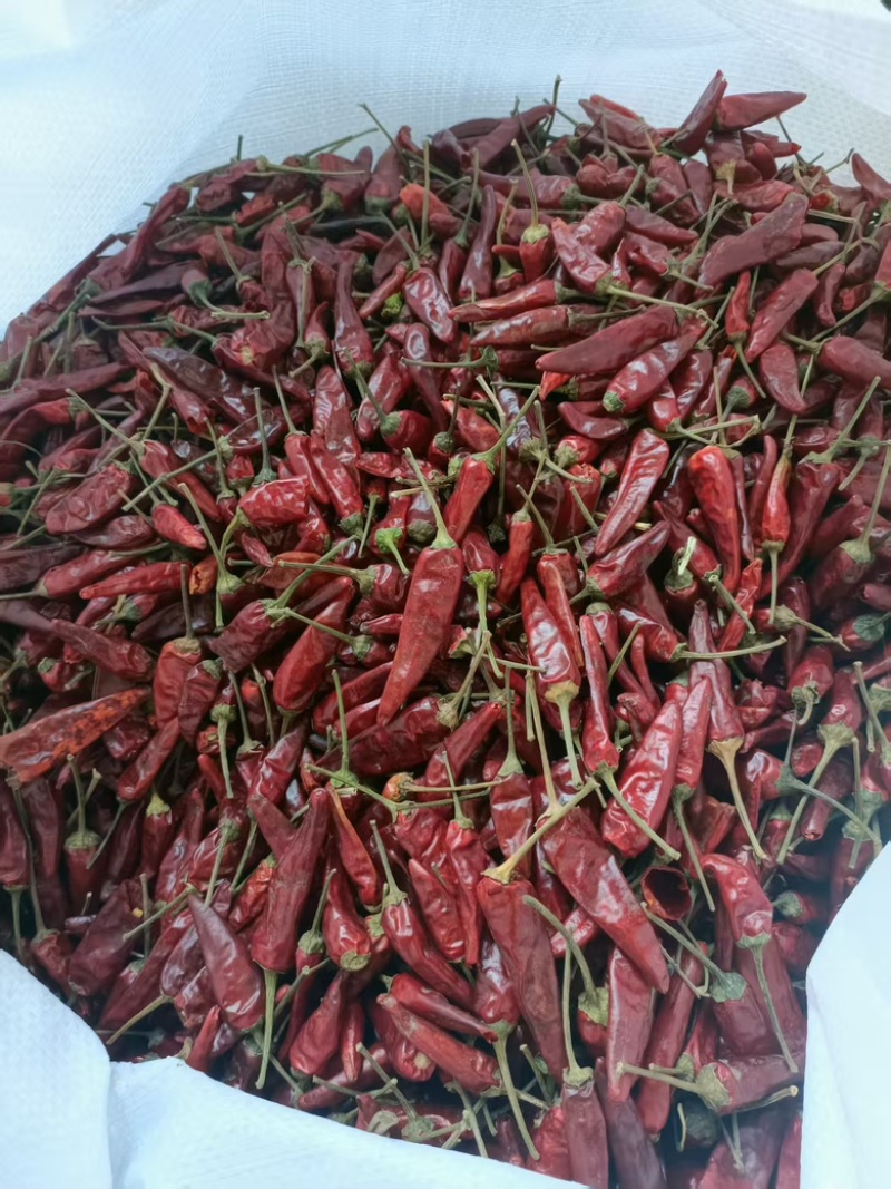 辣椒180吨、色选，洗好，精品售卖