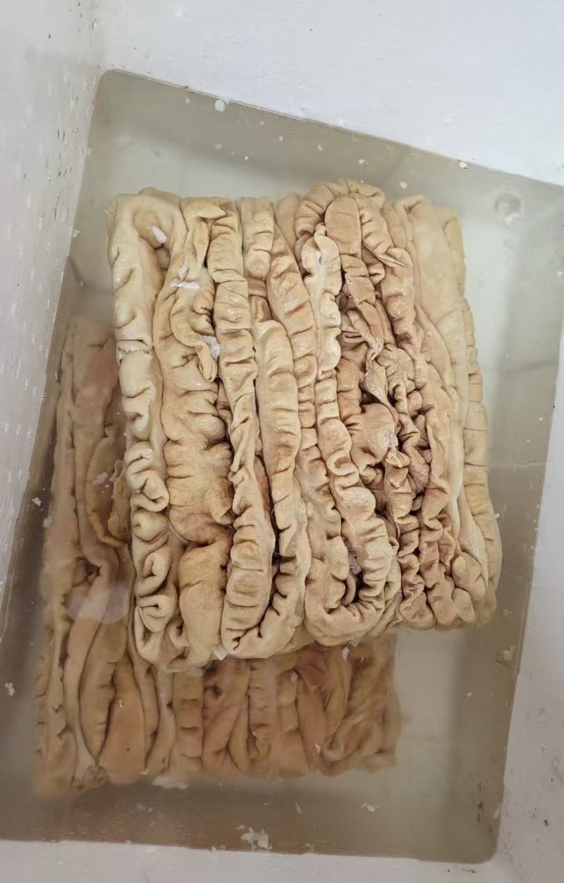 熟肥肠，预煮大肠，熟大肠，纯干熟大肠20斤本色肥肠