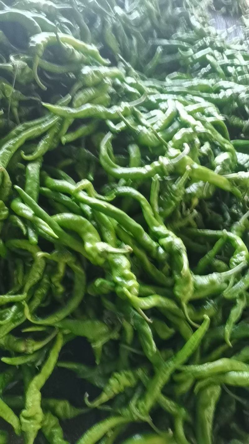 螺丝椒