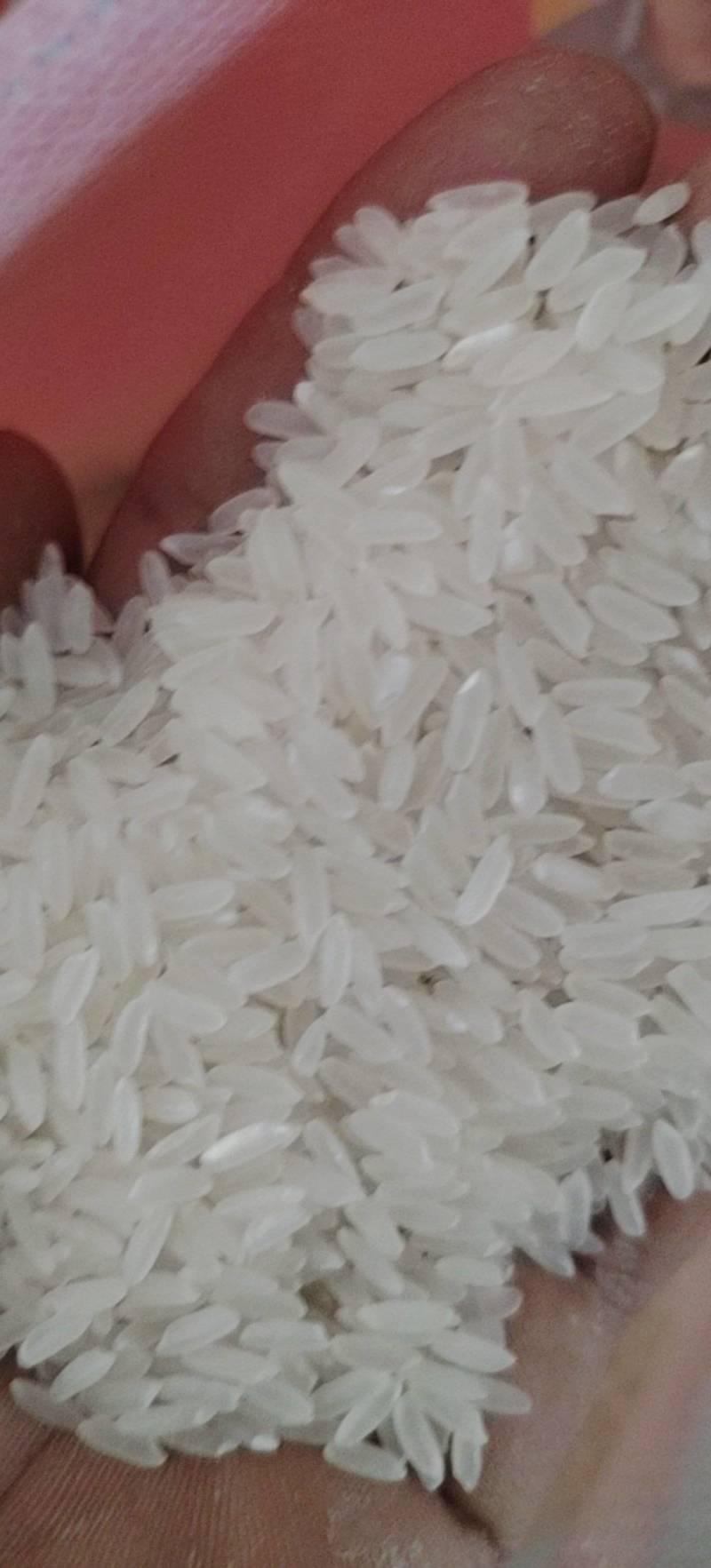 泰来大米