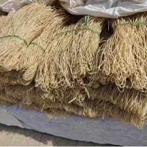 河北石家庄行唐纯红薯粉条批发