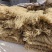 河北石家庄行唐纯红薯粉条批发