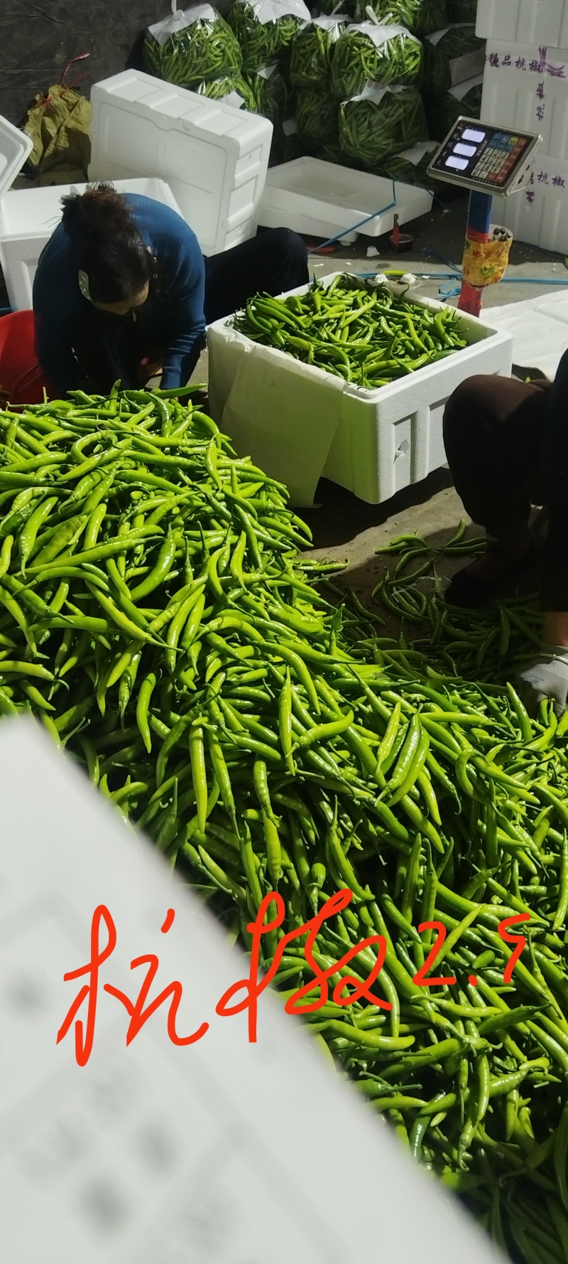各种椒类