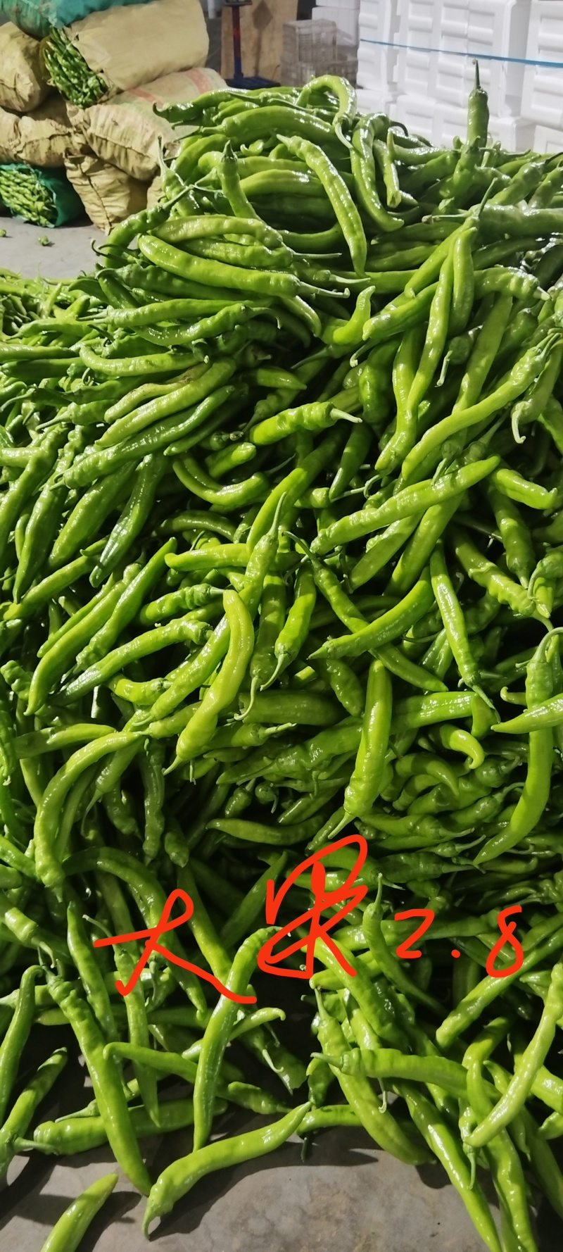 各种椒类