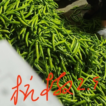 各种椒类