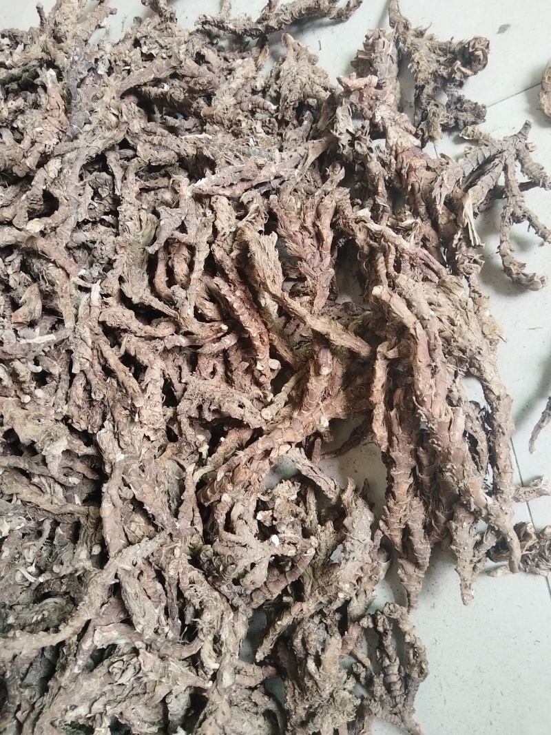 石菖蒲干货