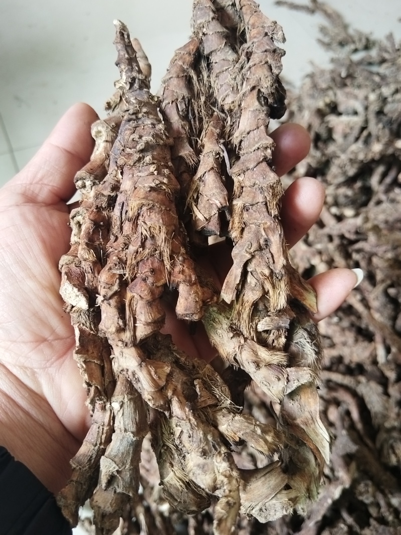 石菖蒲干货