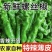 薄皮香辣螺丝椒现摘现发电商可一件代发