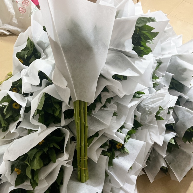 向日葵鲜花