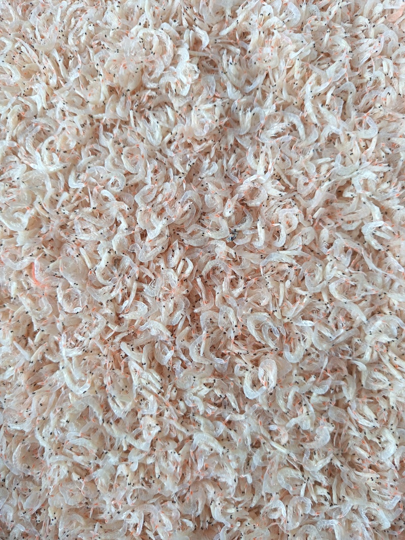 船上加工同利厂家的虾皮，淡盐，干度和颜色还可以净重10斤