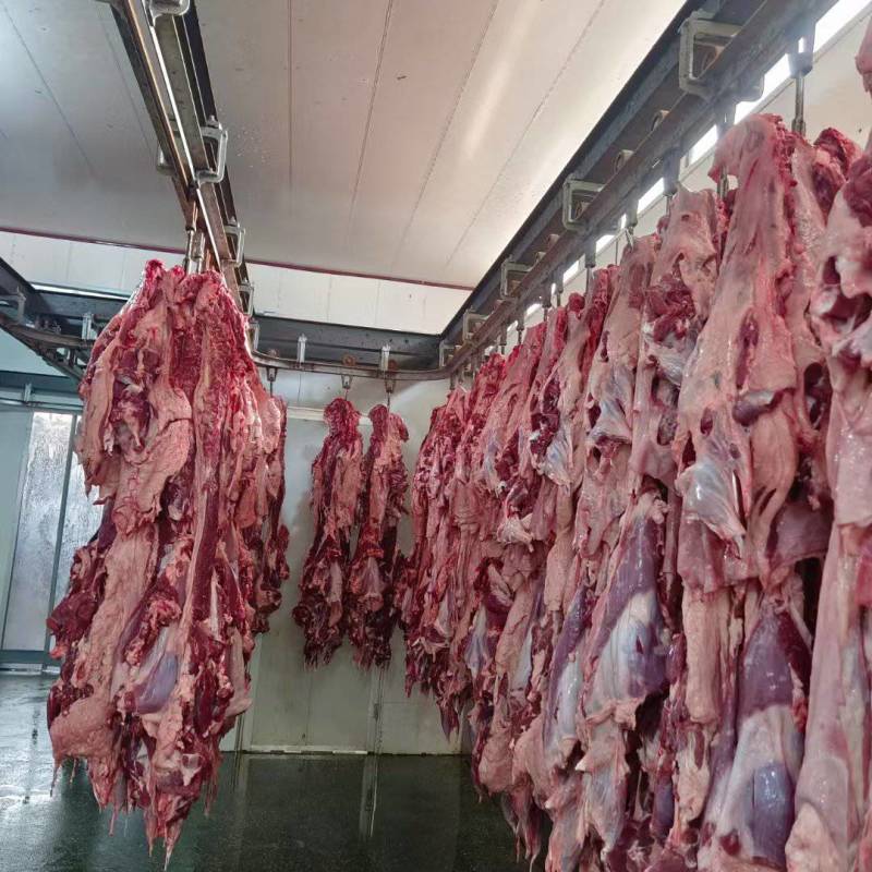 鲜羊肉
