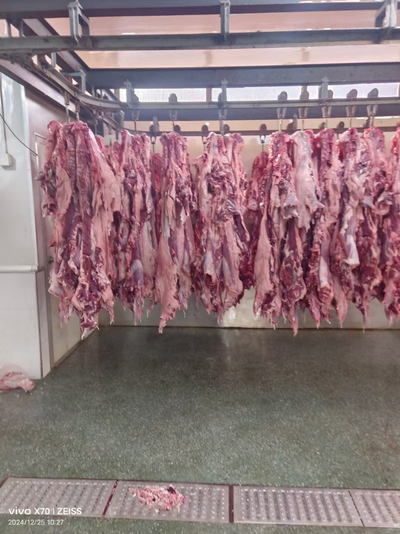 鲜羊肉