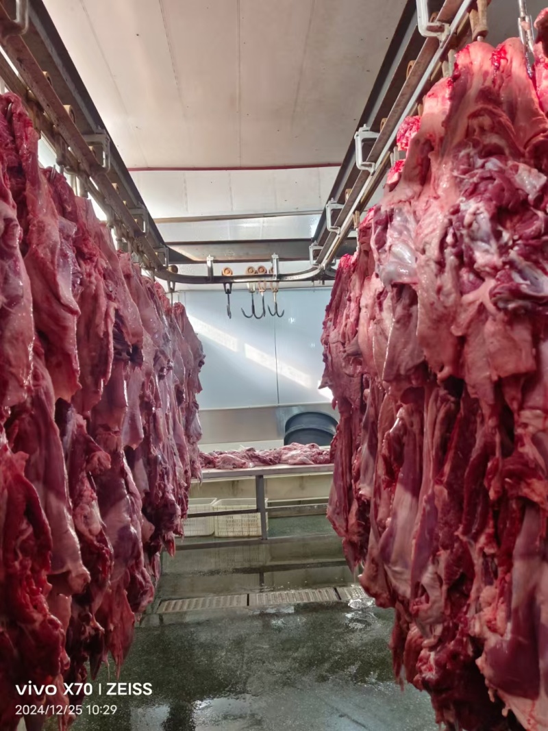 鲜羊肉