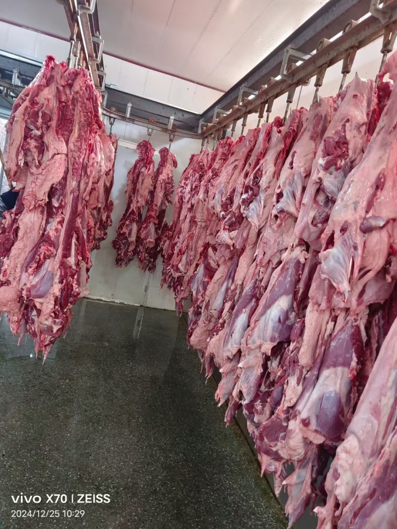鲜羊肉