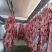鲜羊肉