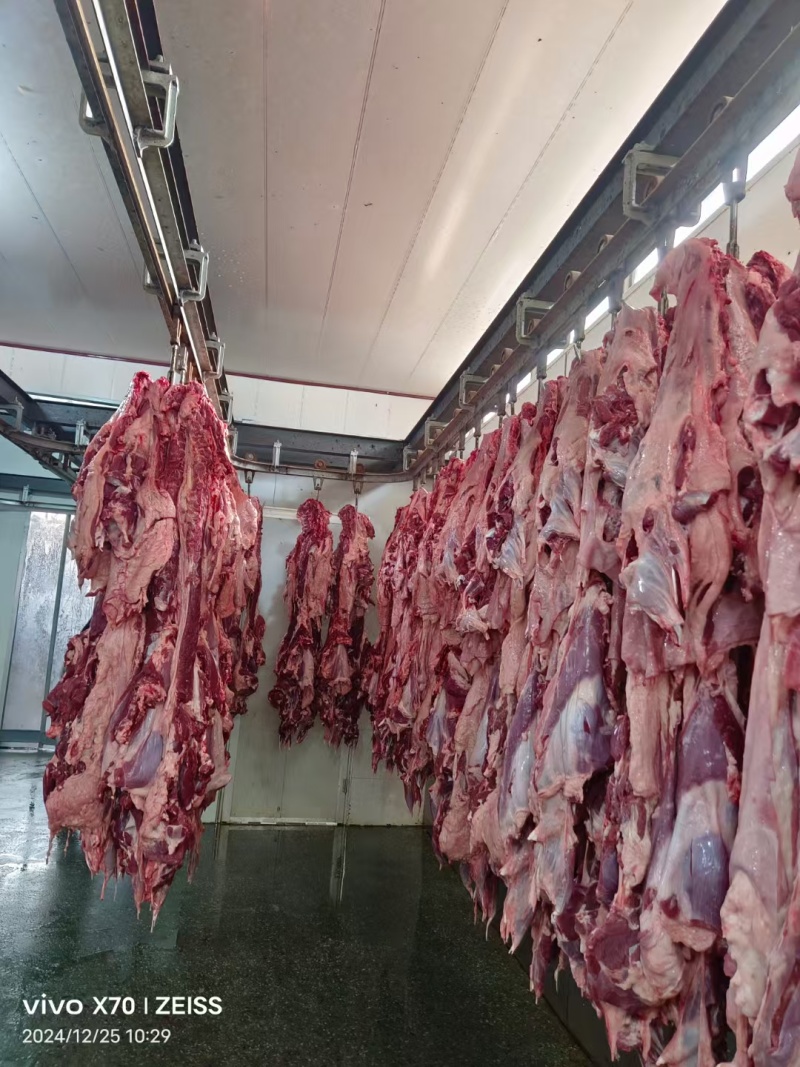鲜羊肉