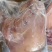全熟白水卤牛头肉无碱发牛头肉熟牛头肉全熟牛头肉