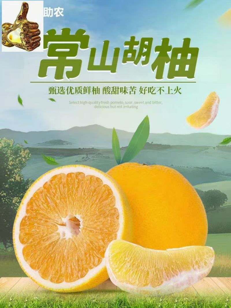 常山胡柚