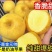 正宗维纳斯苹果精品中果