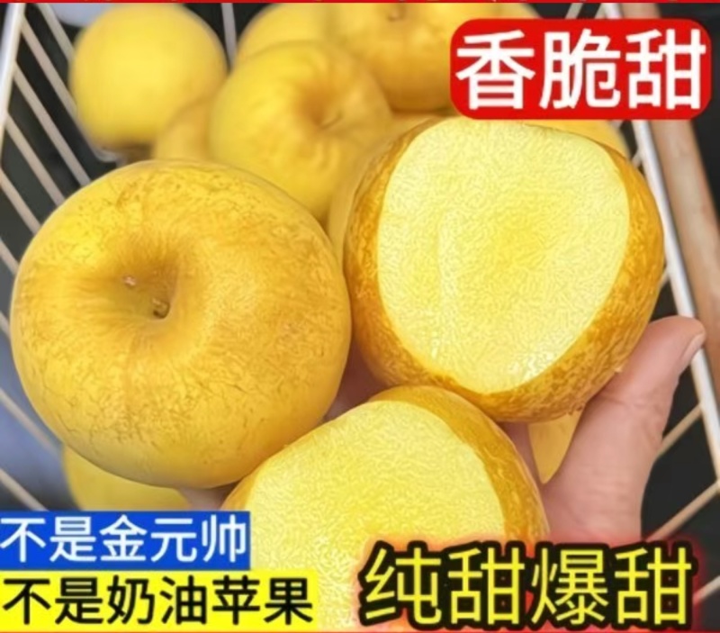 正宗维纳斯苹果精品中果