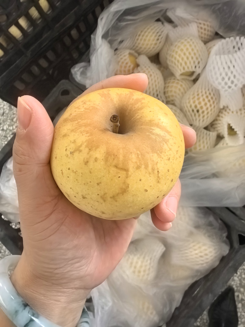 正宗维纳斯苹果精品中果