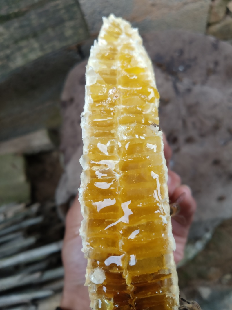 土蜂蜜