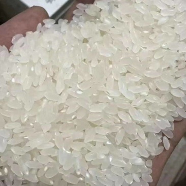 厂家批发长粒香米25年新米直供餐饮食堂，量大更优惠!
