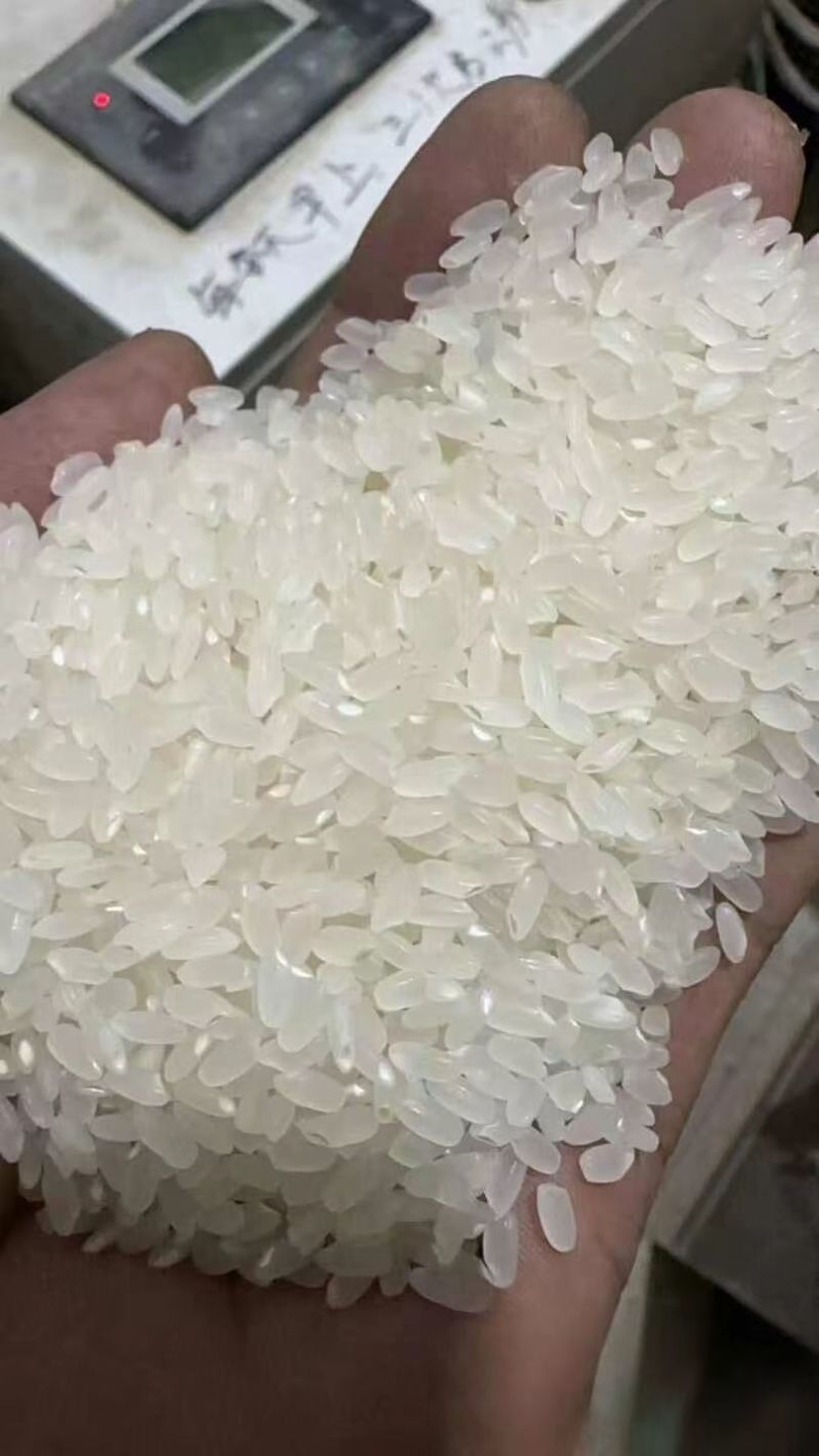 厂家批发长粒香米25年新米直供餐饮食堂，量大更优惠!