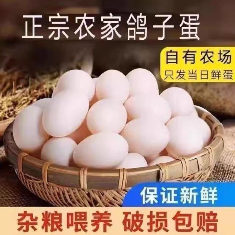 鸽子蛋