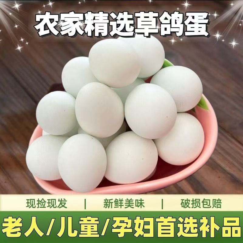 鸽子蛋