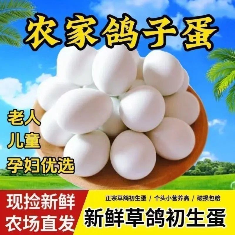 鸽子蛋