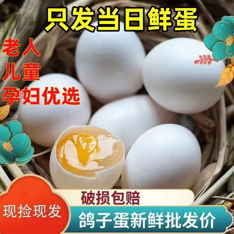鸽子蛋