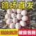 鸽子蛋