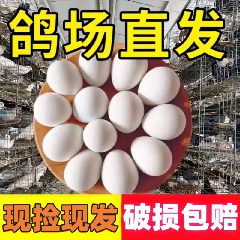 鸽子蛋