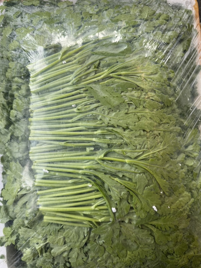菊花菜叶菜