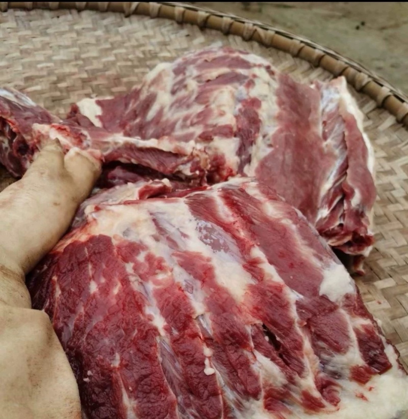 正宗土猪肉，吃粮食猪，口感香，诚信合作，批发价18块