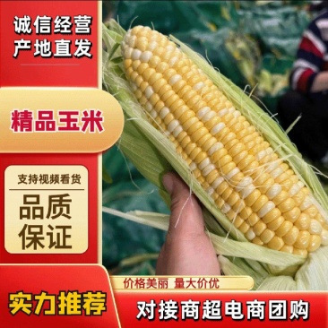 云南花田水果玉米，对接各大电商商超市场，期待您的合作