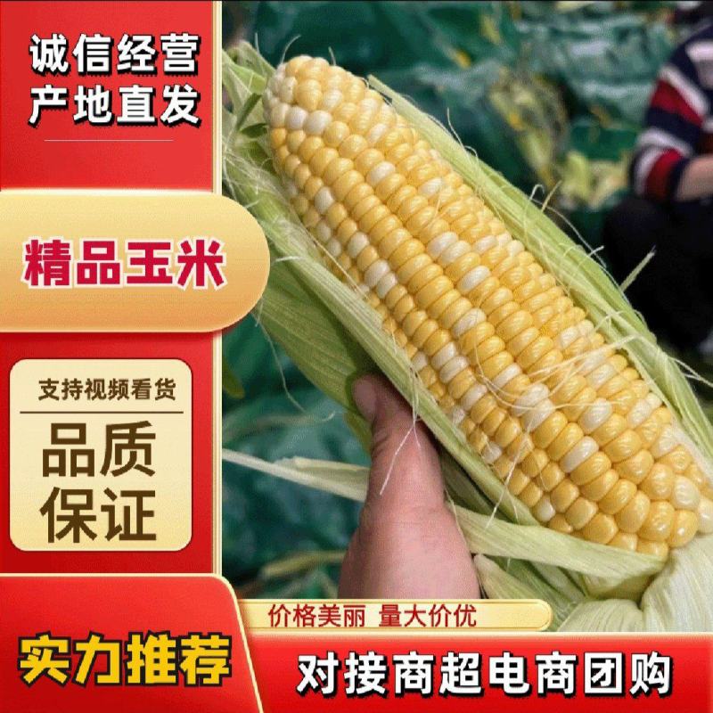 云南花田水果玉米，对接各大电商商超市场，期待您的合作