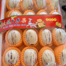 甘肃民勤大漠人参果规格齐全，品质保证，量大从优，价格可谈