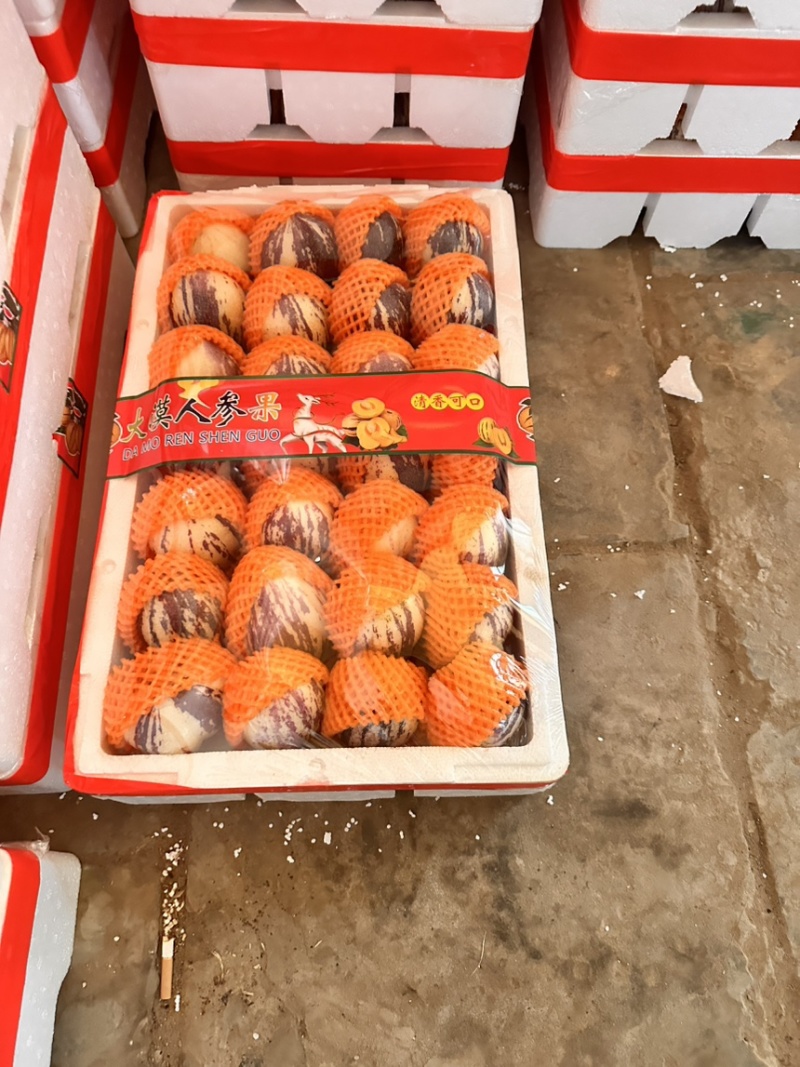 甘肃民勤大漠人参果规格齐全，品质保证，量大从优，价格可谈