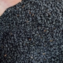 2025年的新黑芝麻，颗粒饱满，出油率高，香味浓。