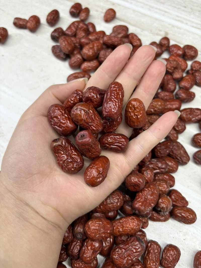 新疆若羌小灰枣