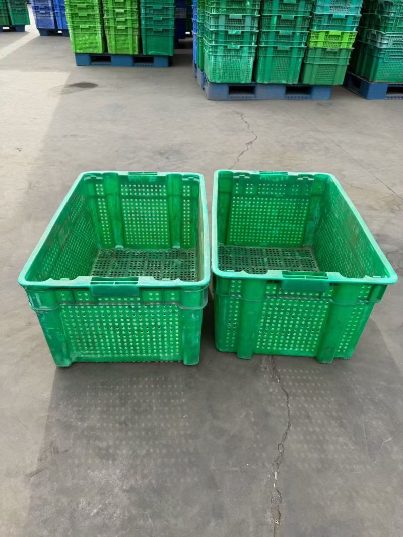 豆芽筐到货4000个尺寸64-42-31