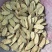 无硫黄芪规格齐全产地一手货源黄芪片豆香味浓