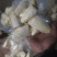 湖南新鲜冬笋肉批发
