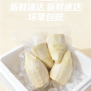 湖南新鲜冬笋肉批发