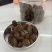 阳春炭火烘焙春砂仁干果
