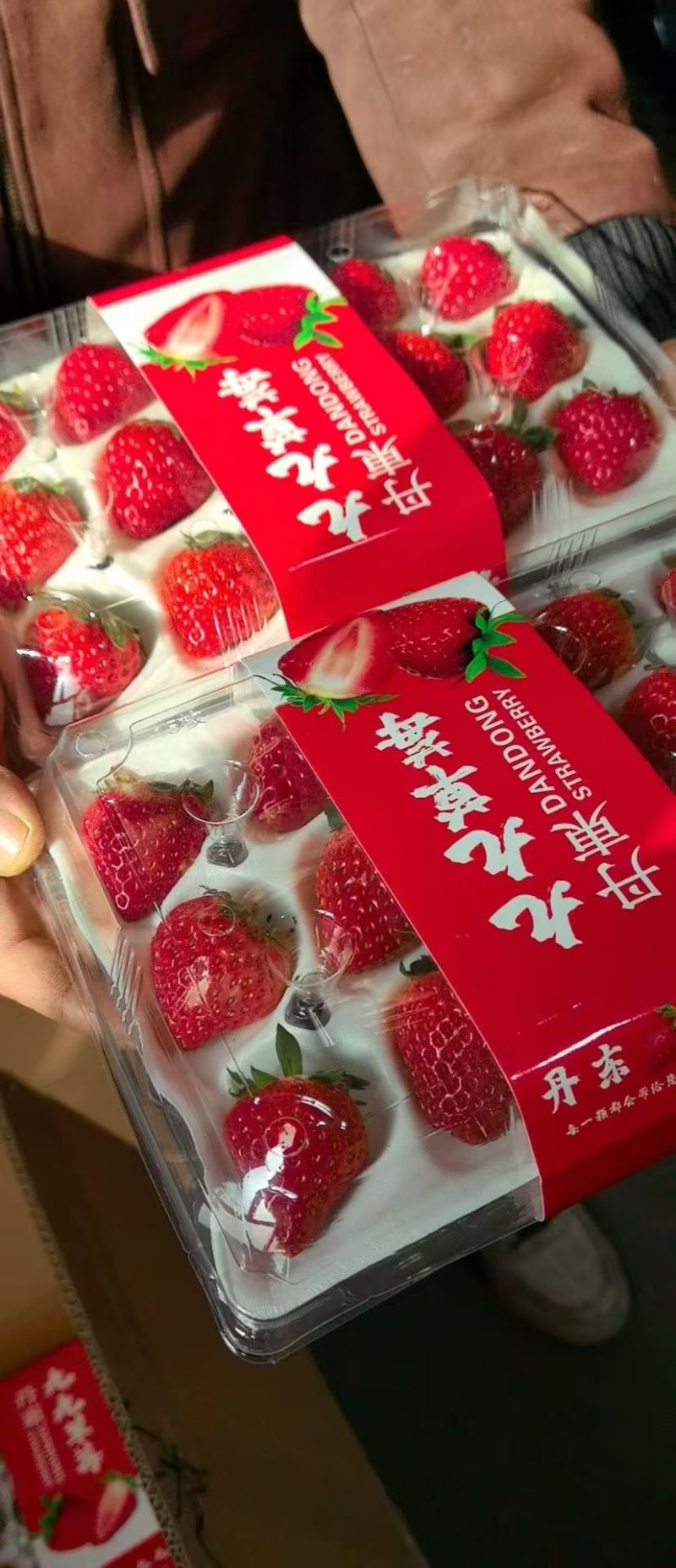 辽宁东港九九草莓产地供应规格齐全量大优惠对接商超市场