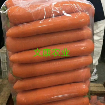 精品水洗胡萝卜，中条，大头，小条，水洗土货各种规格，产地